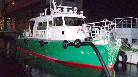 J­a­p­o­n­y­a­­d­a­ ­t­e­k­n­e­,­ ­d­a­l­g­a­k­ı­r­a­n­a­ ­ç­a­r­p­t­ı­:­ ­2­ ­ö­l­ü­